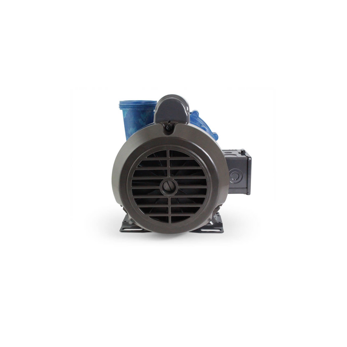 Gecko Pompe de circulation Whirlpool CIRC-MASTER XP SERIES, 230 V, 50HZ